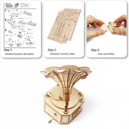 Gramophone Music Box Puzzles